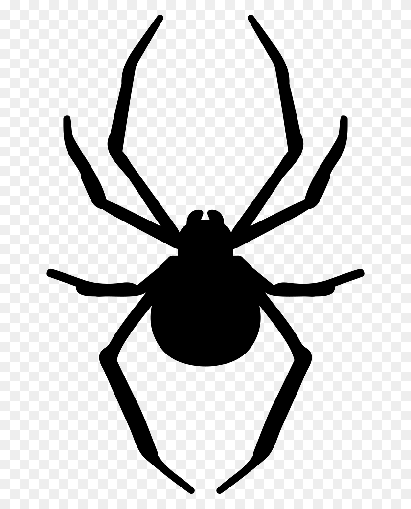 650x981 Spider Clipart Arthropod - Spider Clipart Transparent