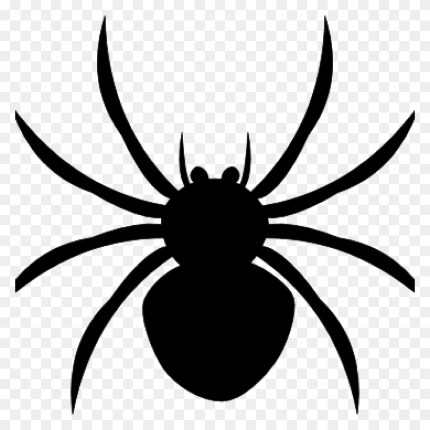 1024x1024 Spider Clipart Black And White Arachnophobia Overcoming Your Fear - Space Clipart Black And White