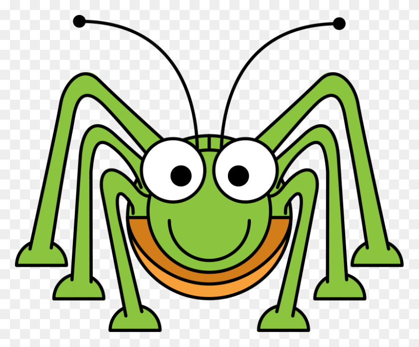 800x653 Spider Clipart Green - Spider Clipart Transparent