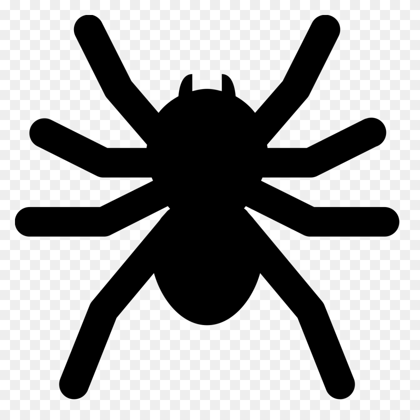 1600x1600 Spider Icon - Tarantula PNG