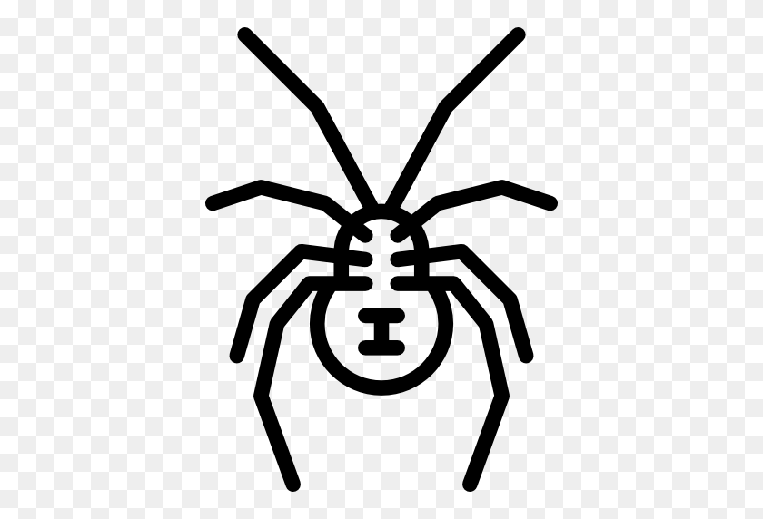 512x512 Spider Insect Southern Black Widow Clip Art - Black Widow Spider Clipart