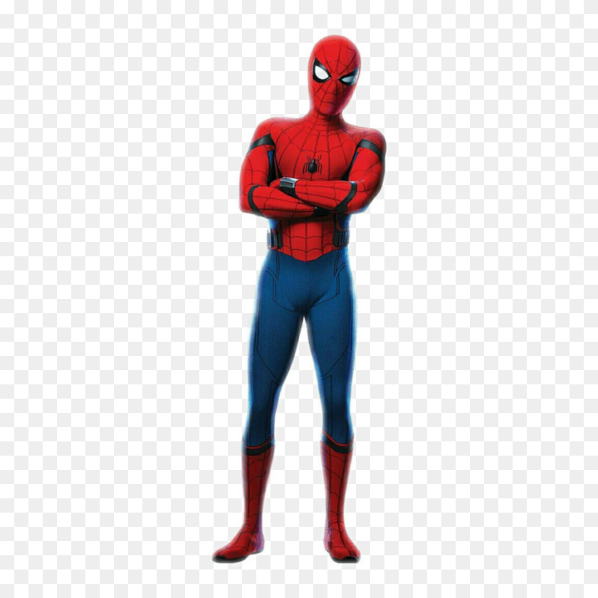 894x894 Spider Man Standing Transparent Images Png Arts - Man Standing PNG