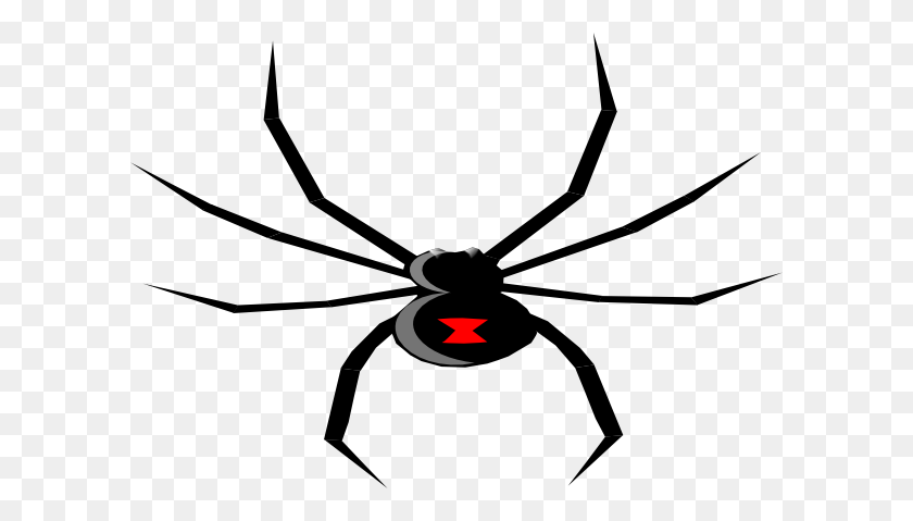 600x419 Spider Pics Facts Funny Stuff About Animals Clip Art Image - Stuff Clipart