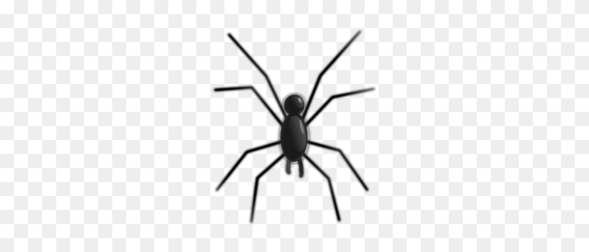 252x300 Spider Png, Clip Art For Web - Black Widow Clipart