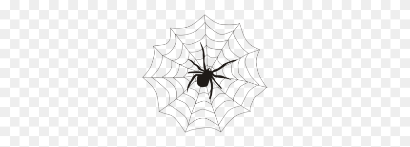 256x242 Spider Web Clipart - Spider Web Clipart