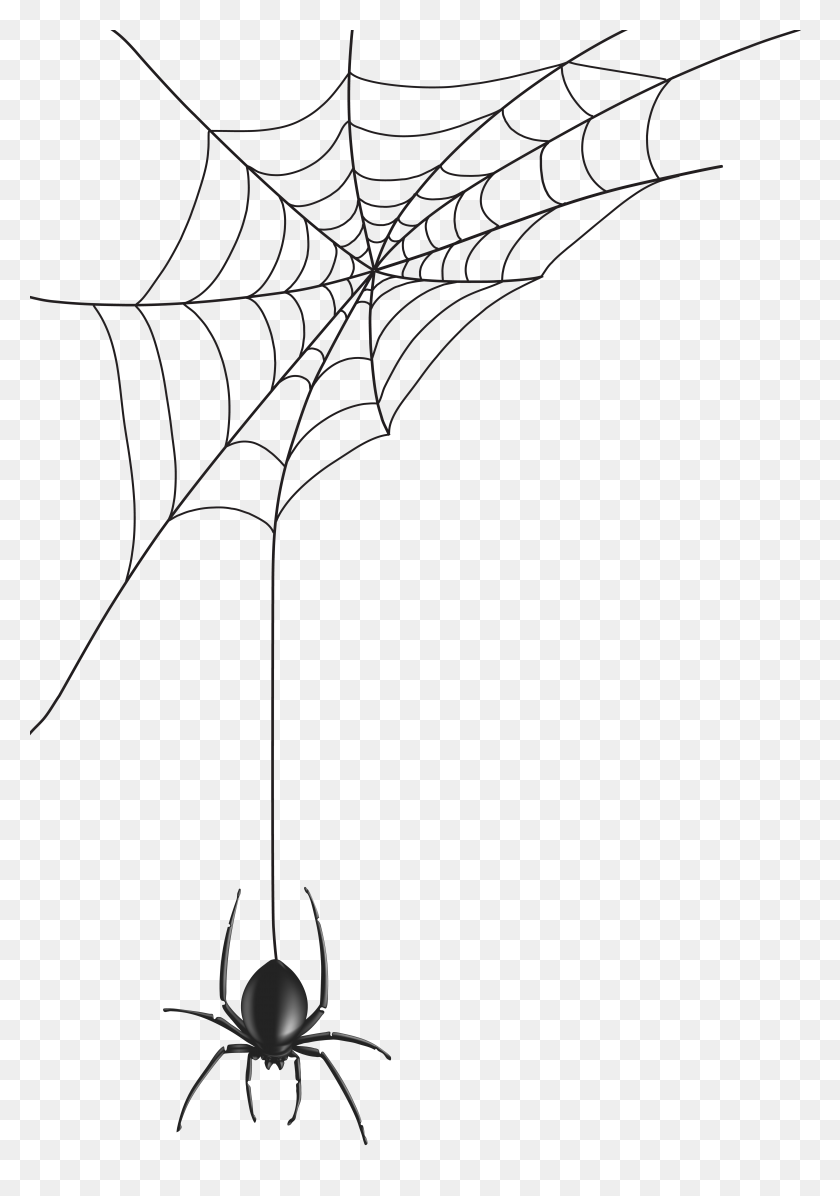5491x8000 Spider Web Clipart Png, Cute Spider Web Clipart - Araña Clipart Blanco Y Negro