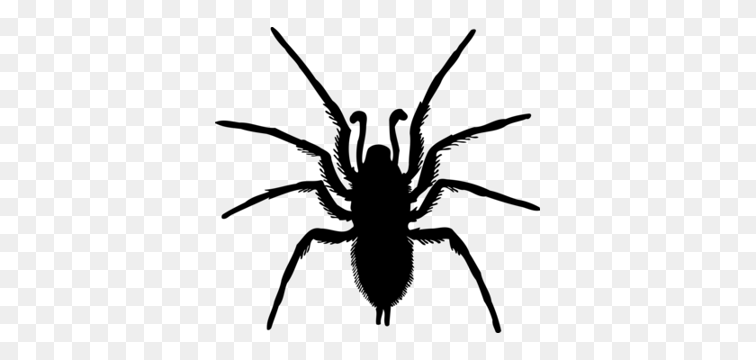 361x340 Паутина Компьютерные Иконки Latrodectus Hesperus - Itsy Bitsy Spider Clipart
