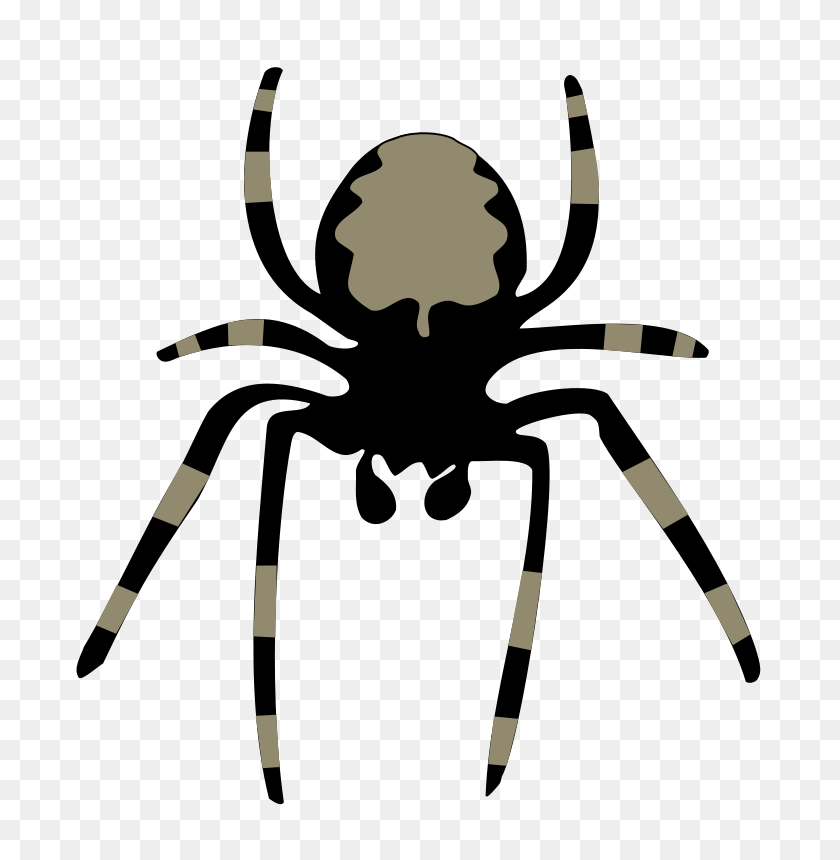 724x800 Бесплатная Векторная Графика Spider Web Corner - Spider Web Clipart Black And White