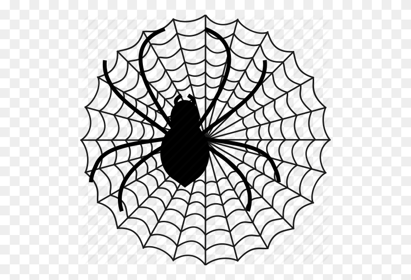 512x512 Spider Web Icon - Spider Web Clipart PNG