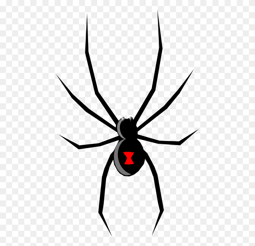 471x750 Spider Western Black Widow Southern Black Widow Drawing Brown - Tarantula Clipart