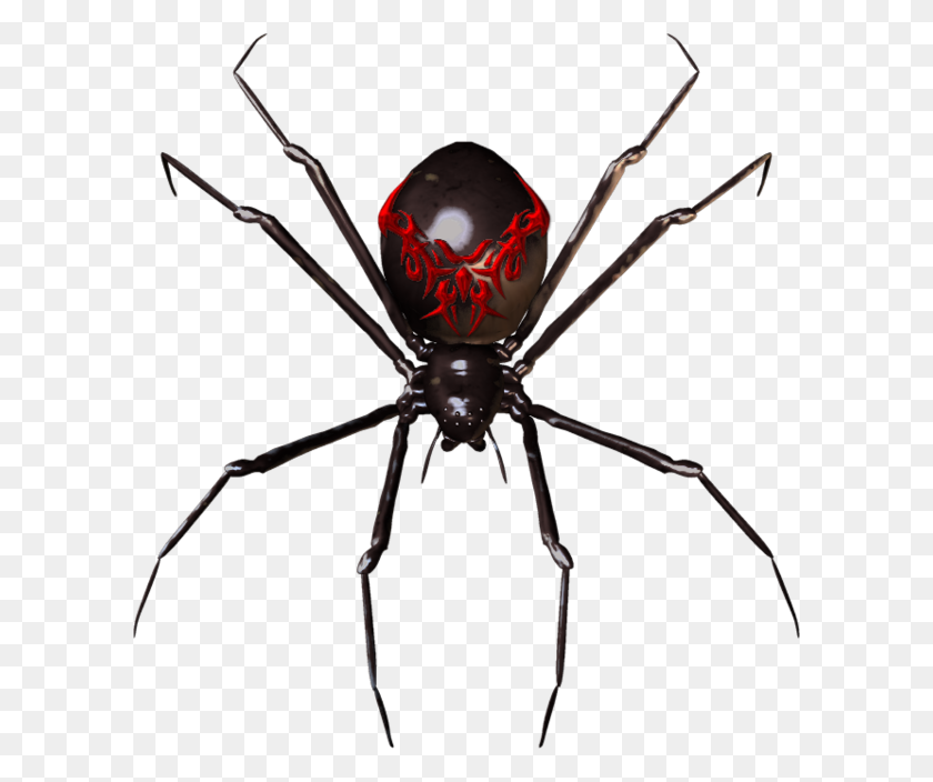 600x644 Spider Widget Clip Art - Black Widow Spider Clipart