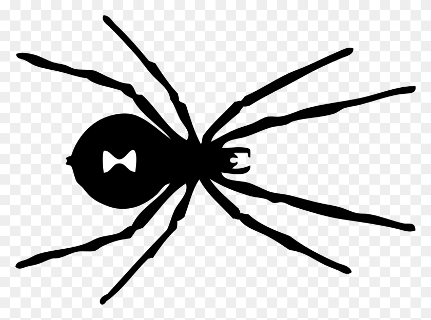 1331x963 Spiders Clipart Black And White Clip Art Images - School Clipart Black White