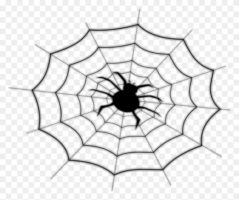 800x660 Spiders On The Spider Web Free Download Png Vector - Spider Web PNG