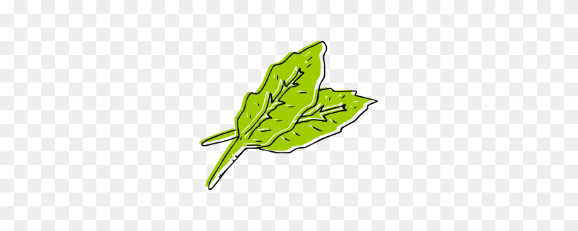 276x276 Spinach - Spinach PNG