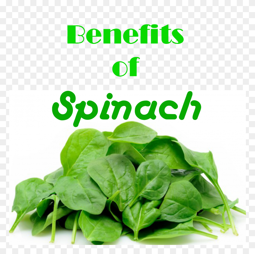 2000x2000 Spinach Benefits Spinach, Benefit And Food - Spinach PNG