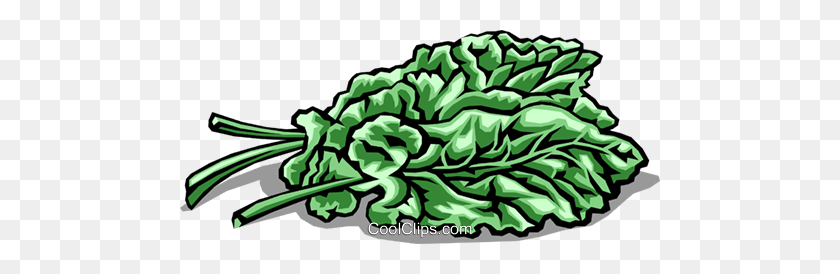 480x214 Spinach Royalty Free Vector Clip Art Illustration - Spinach Clipart