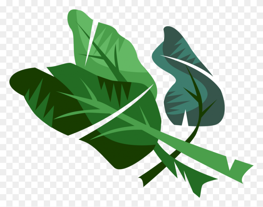908x700 Spinach Vegetable Leaf - Spinach PNG