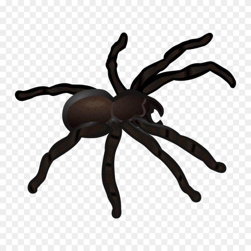 1024x1024 Spinne Coloured Clip Art Spider - Spiderman Web Clipart