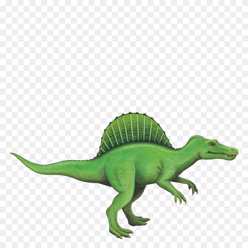 1024x1024 Spinosaurus Etiqueta De La Pared - Spinosaurus Png