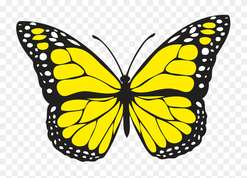 1000x700 Spiritual Meaning Of Yellow Butterflies Hope And Guidance Good - Yellow Butterfly PNG