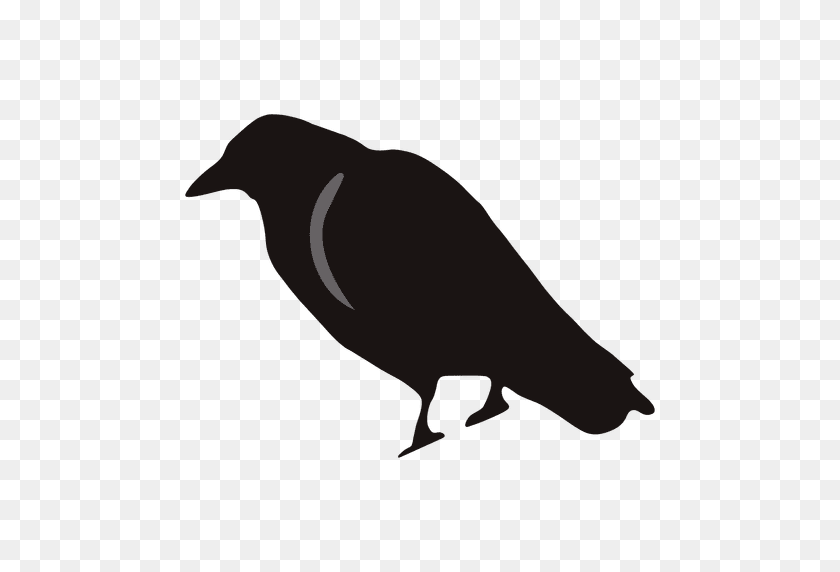 512x512 Spooky Crow Cartoon - Crow PNG