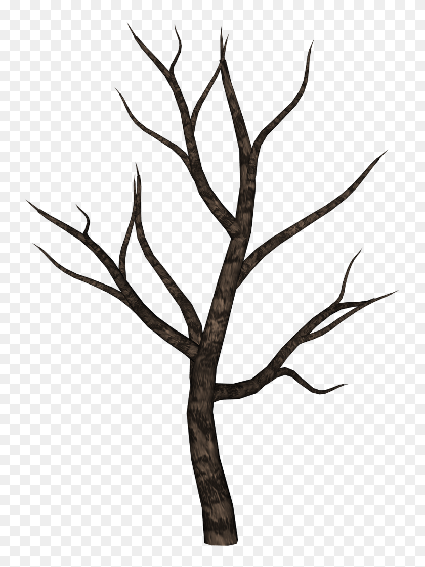753x1062 Spooky Tree Gráfico Transparente Stock ¡Gran Regalo De Promoción! Descargar - Twig Clipart