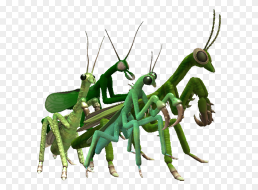 600x559 Spore Mantis Spore Know Your Meme - Praying Mantis PNG