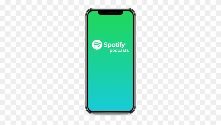 196x417 Spotify Mobile App Kevin Libertino - Spotify PNG