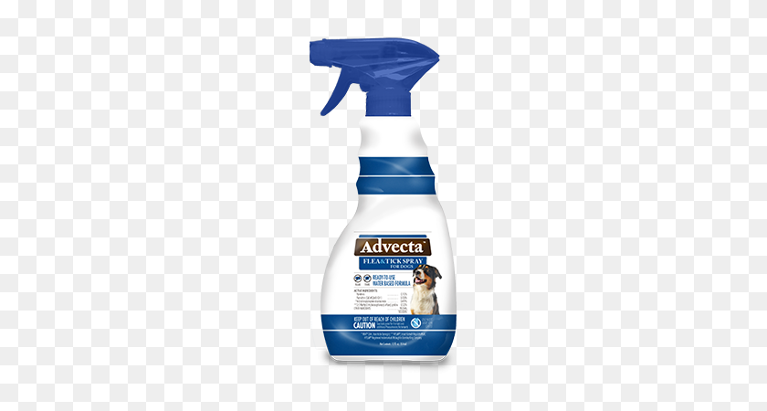 555x390 Spray For Dogs - Flea PNG