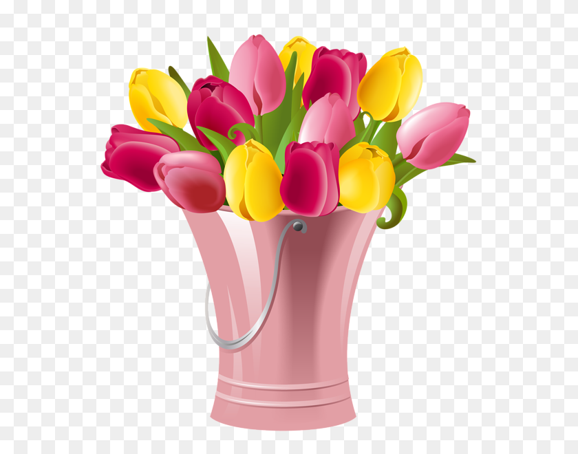 565x600 Balde De Primavera Con Tulipanes Png