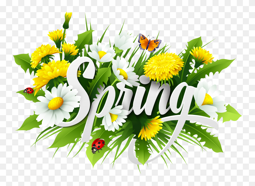 6127x4358 Imagen Decorativa De Primavera Png - Flores De Primavera Png