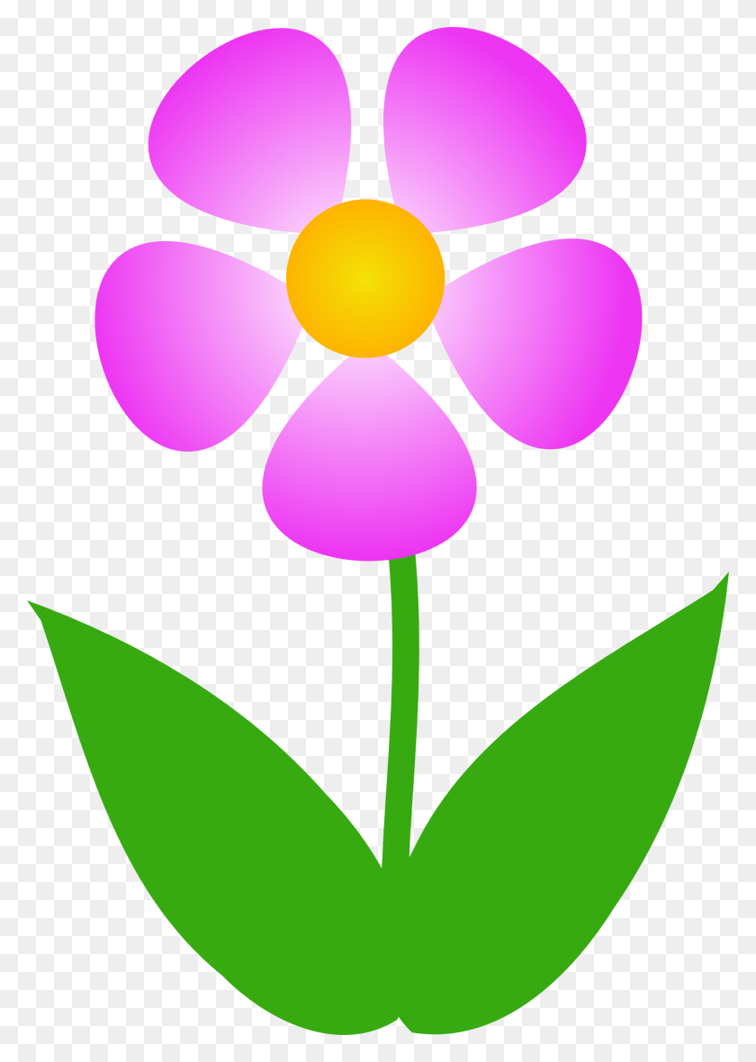 1969x2828 Spring Flower Clipart Png Clipart Images - Metal Spring Clipart
