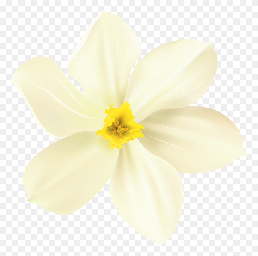 8000x7935 Flor De Primavera Decorativa Transparente - Flores De Primavera Png