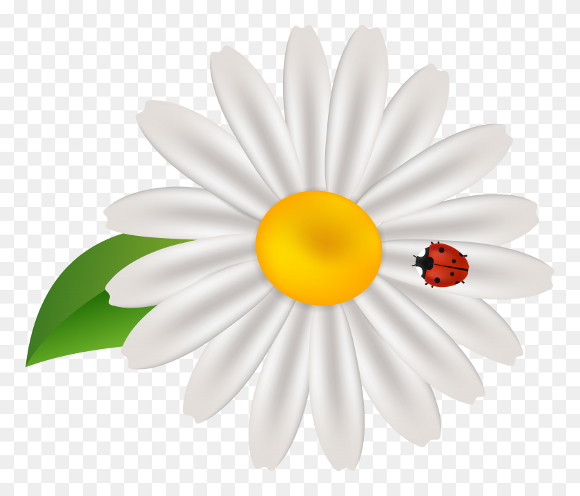 8000x6765 Spring Flower With Lady Bug Transparent Clip Gallery - Spring Flower PNG