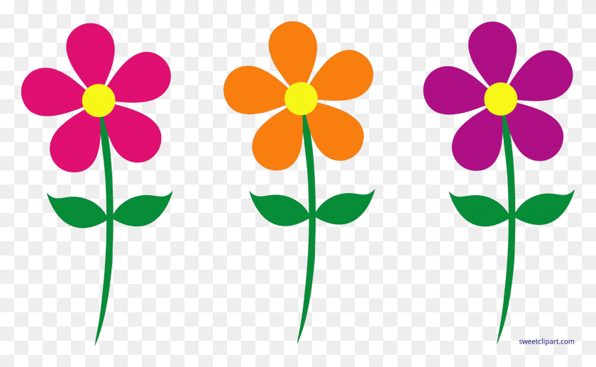 7747x4545 Весенние Цветы Набор Картинки - Природа Клипарт