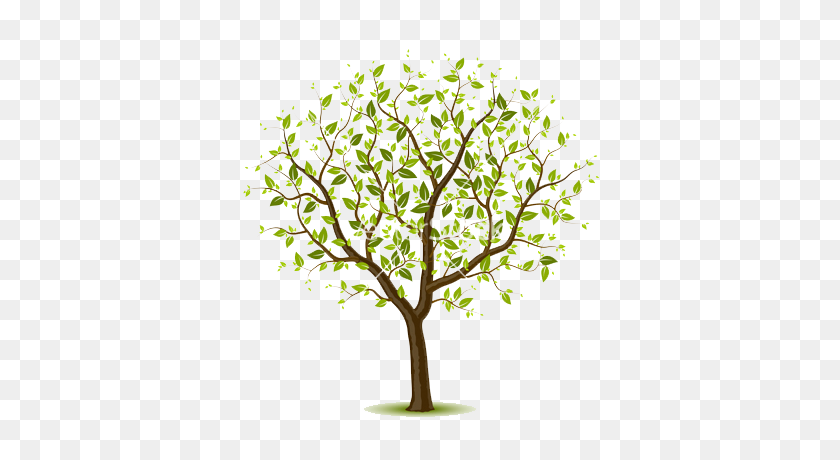 380x400 Spring Tree Vector Divided Dividers - Tree Vector PNG
