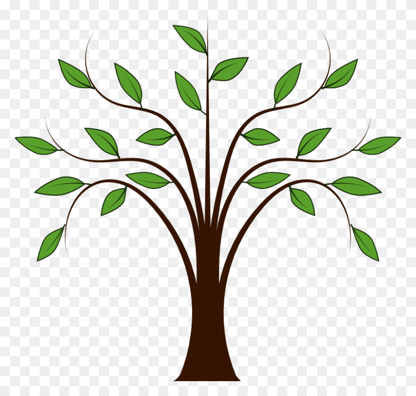 800x759 Spring Trees Clipart Trees In Clip Art, Art - Plant Roots Clipart