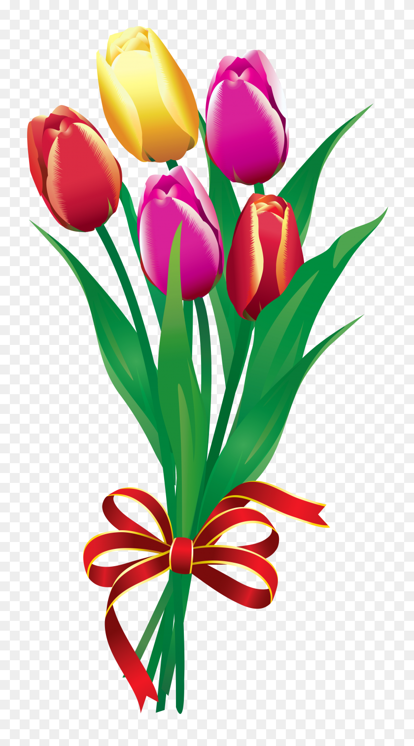 2720x5072 Spring Tulips Bouquet Png Clipart - Rose Clipart Black And White PNG