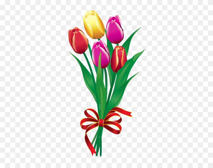 322x600 Ramo De Tulipanes De Primavera Png Imagen Prediseñada Solo Figuras Para - Acuarela Flores Png