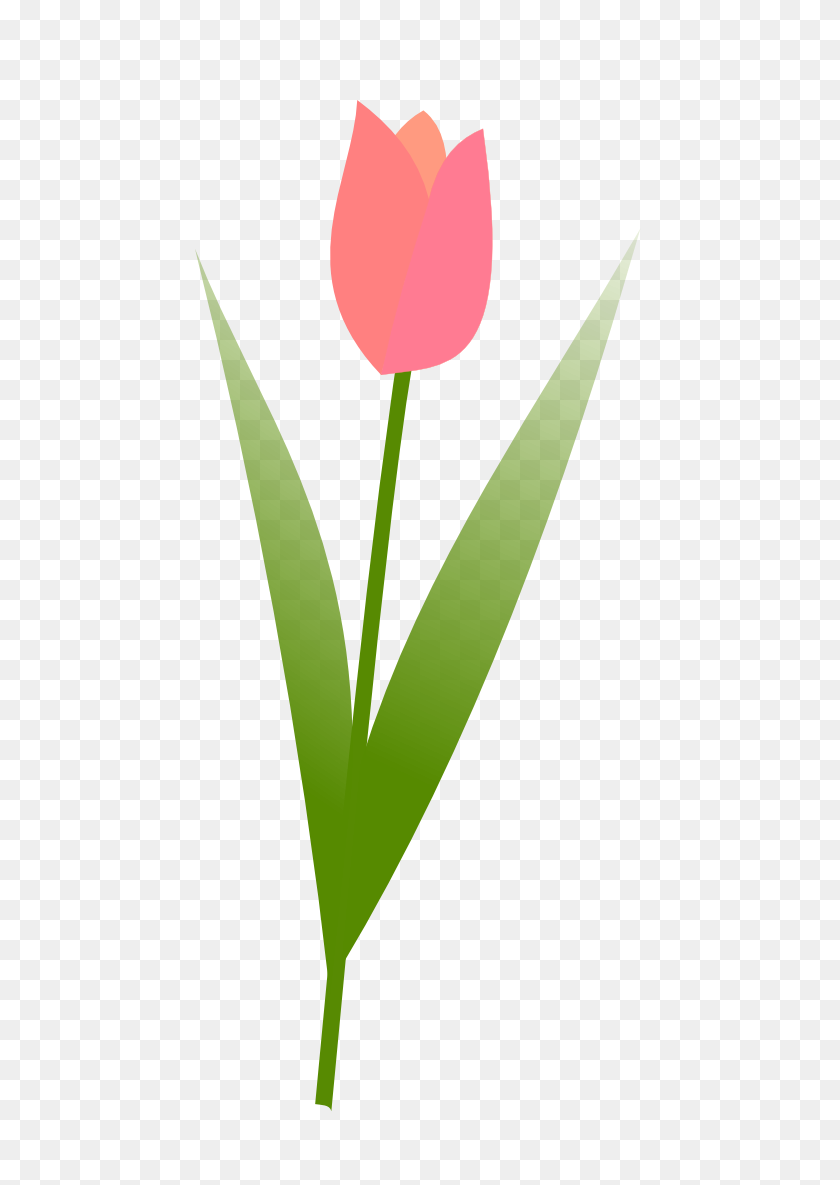 555x1125 Spring Tulips Clip Art - Easter Grass Clipart