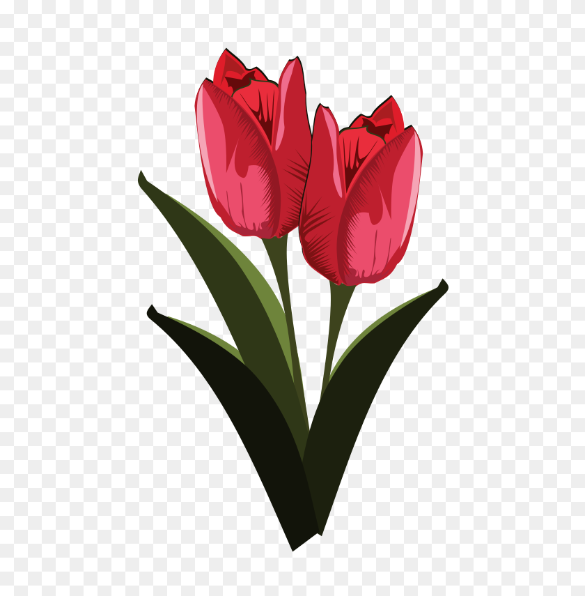 580x795 Clipart De Tulipanes De Primavera