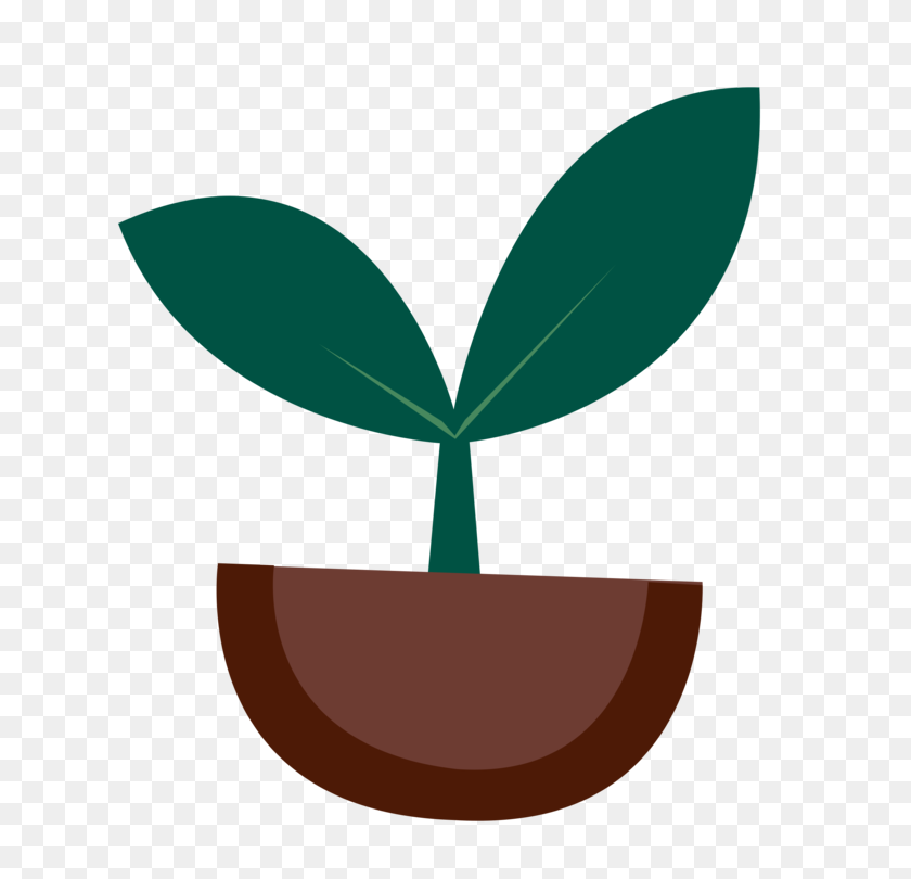 750x750 Sprouting Seedling Download - Seedling Clipart