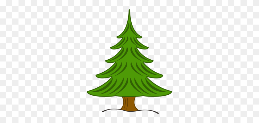 277x340 Spruce Fir Pine Tree Evergreen - Pine Tree Branch PNG