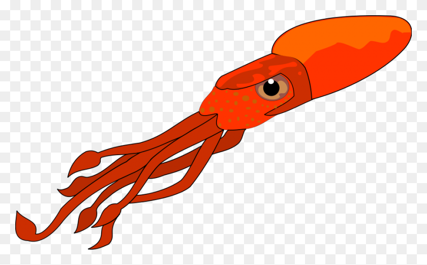 900x533 Squid Clip Art - Seafood Clipart