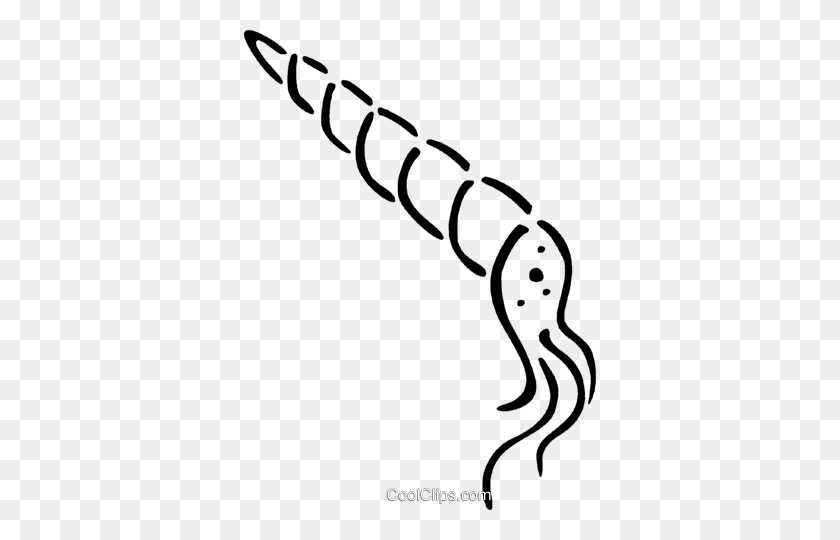 352x480 Squid Royalty Free Vector Clip Art Illustration - Squid Clipart Black And White