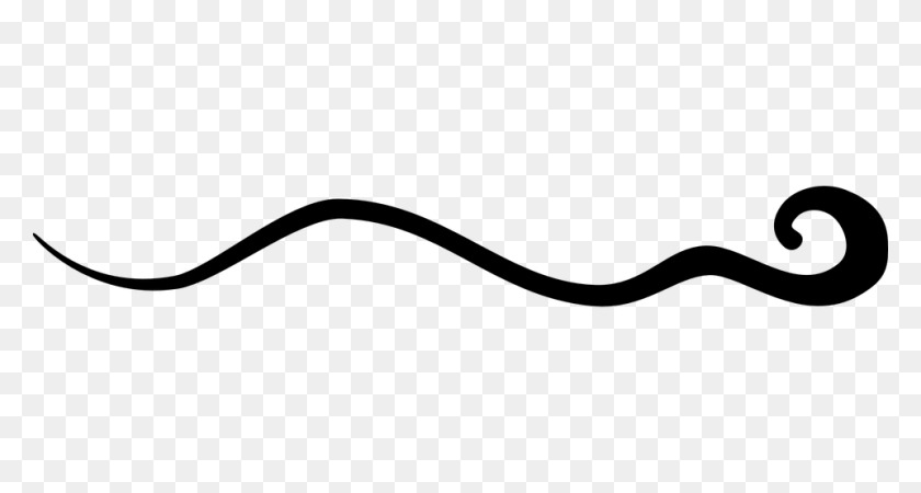 960x480 Squiggly Line Free Download Clip Art - Squiggly Line PNG