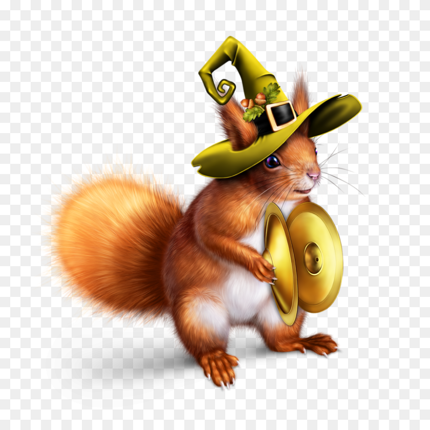800x800 Squirl Obsuzhdenie Na Liveinternet - Cute Squirrel Clipart