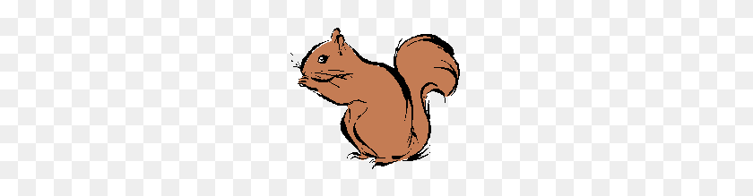 195x159 Squirrel - Squirrel PNG