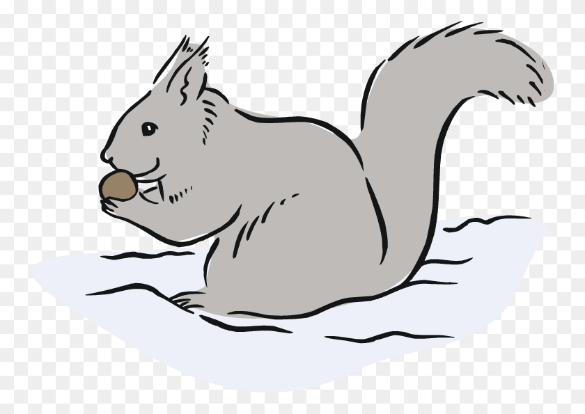 750x535 Squirrel Black And White Free Squirrel Clipart - Squirrel Clipart PNG