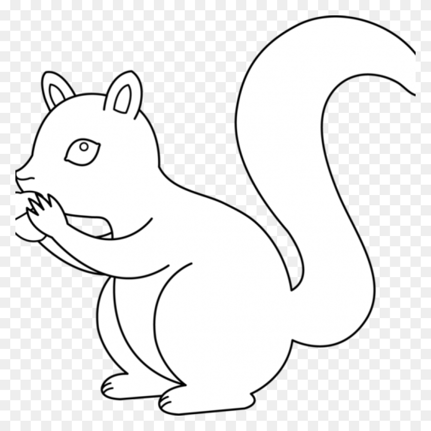 1024x1024 Squirrel Clipart Black And White Vector With Acorn Sitting - Acorn Clipart Black And White